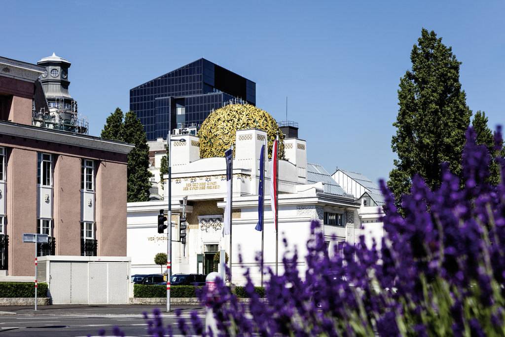 Biały budynek Secesji ze złotą kopuła, nazywana złotą kapustą. Jest przesłonięty fioletowymi kwiatami.